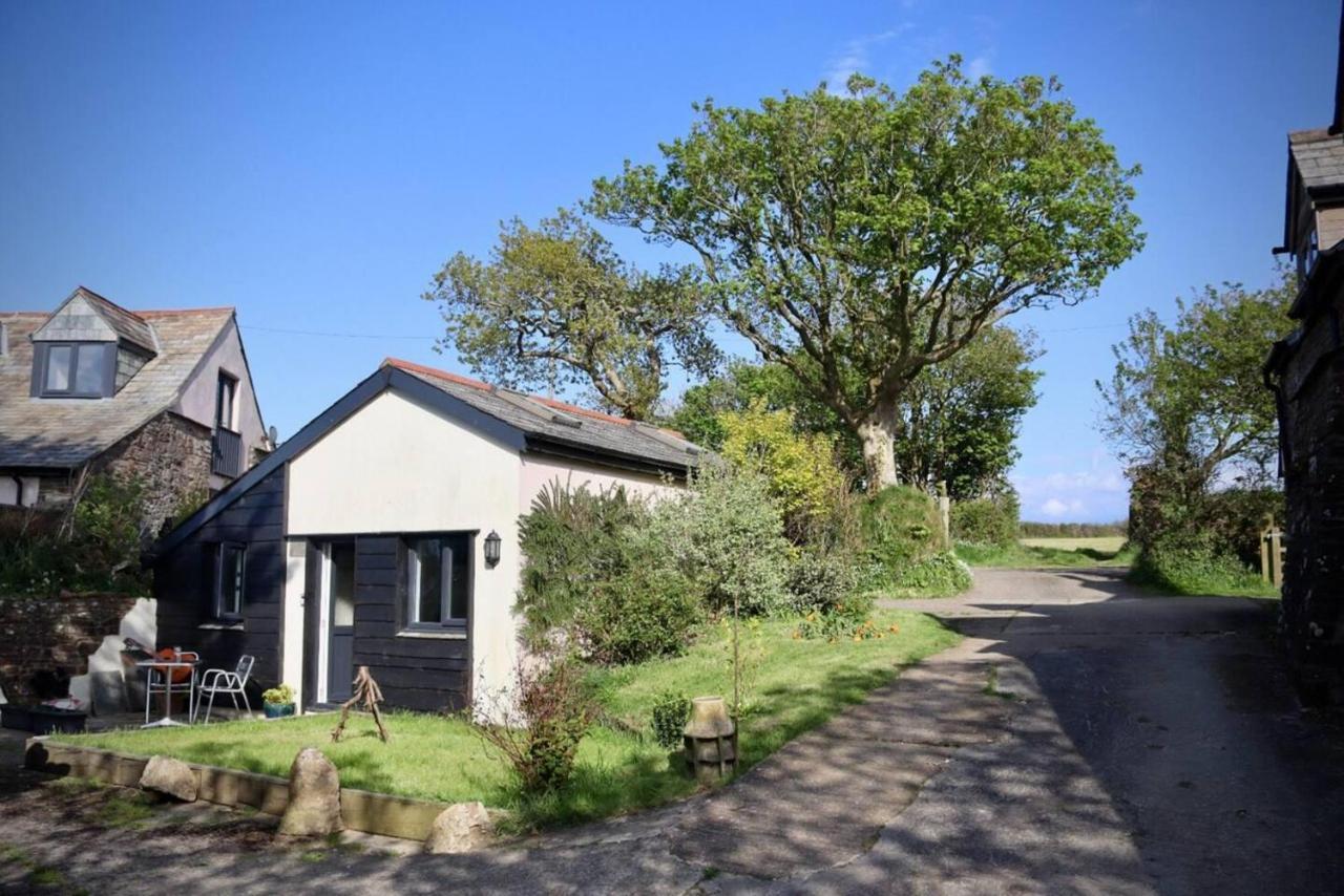 Cosy Near Hartland Village